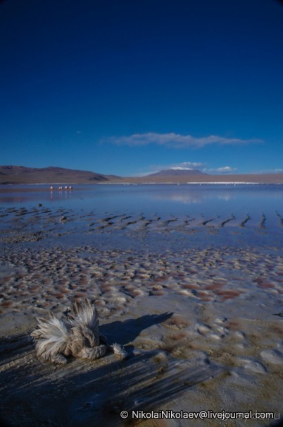 Покорение Америки ч-12. День 10: Марсианская сага 2 (Near Eduardo Avaroa National Reserve, Bolivia)