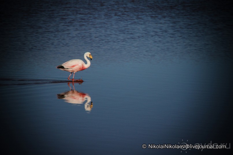 Покорение Америки ч-12. День 10: Марсианская сага 2 (Near Eduardo Avaroa National Reserve, Bolivia)
