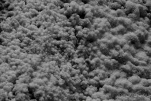 Покорение Америки. Часть 6. День 5: Безысходность в царстве соли (Moray & Urubamba, Peru)