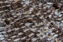 Покорение Америки. Часть 6. День 5: Безысходность в царстве соли (Moray & Urubamba, Peru)