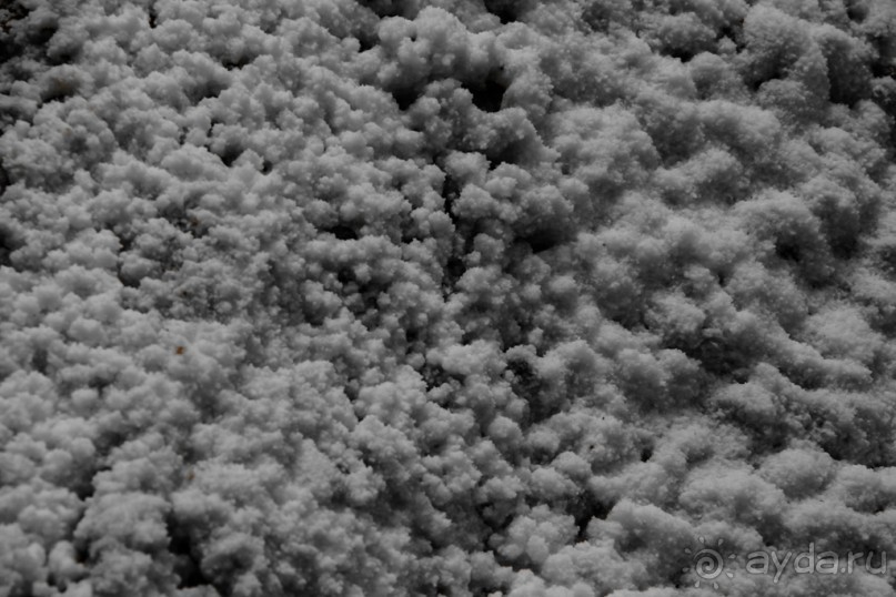 Покорение Америки. Часть 6. День 5: Безысходность в царстве соли (Moray & Urubamba, Peru)