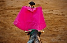 Коррида: вдесятером на одного (Pamplona, Spain)