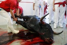 Коррида: вдесятером на одного (Pamplona, Spain)