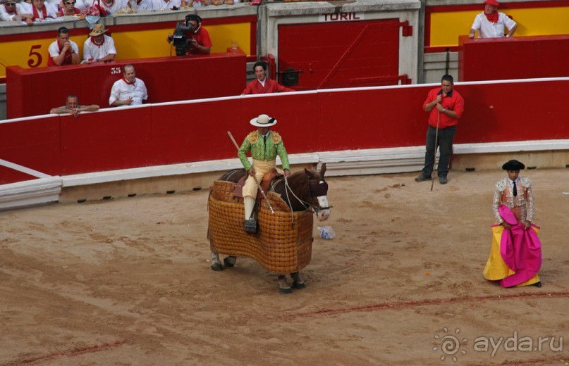 Коррида: вдесятером на одного (Pamplona, Spain)