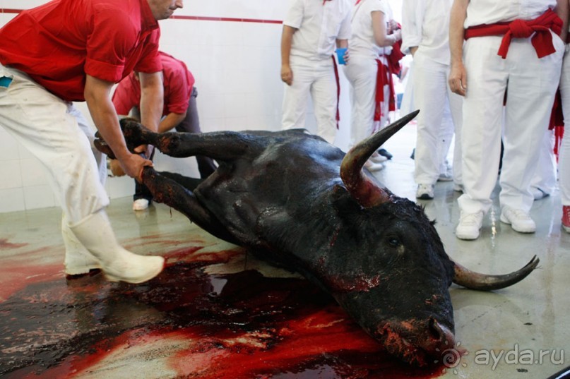 Коррида: вдесятером на одного (Pamplona, Spain)