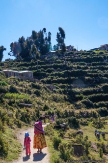 Покорение Америки. Часть 15. День 13: Остров Солнца (Isla Del Sol, Bolivia)