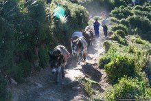 Покорение Америки. Часть 15. День 13: Остров Солнца (Isla Del Sol, Bolivia)