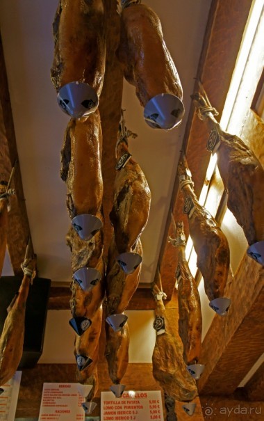 Наперегонки со смертью или Фиеста по-испански, ч. 1 (Pamplona, Spain)