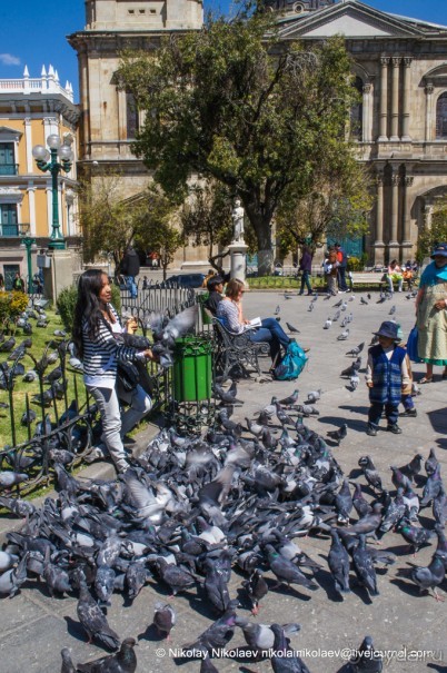 Альбом отзыва "Покорение Америки. Часть 9. День 8: C ветерком по Боливии (La Paz, Bolivia)"