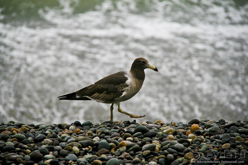 Покорение Америки. Часть 20. День 20+23: Военизированный рай (Lima, Peru)