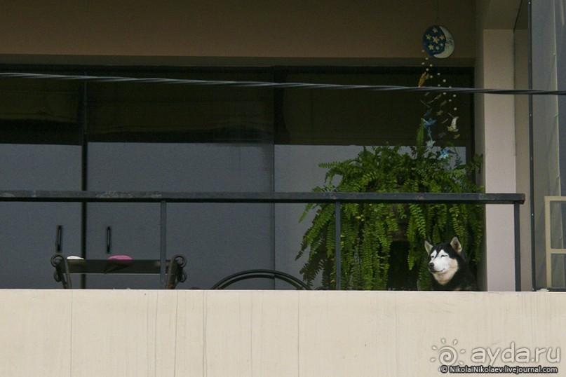 Покорение Америки. Часть 20. День 20+23: Военизированный рай (Lima, Peru)