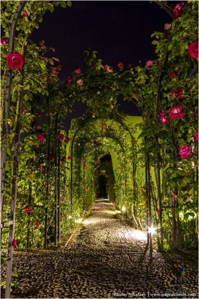 Альгамбра (Granada, Spain)