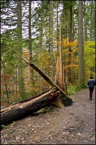 Дорога в Скай (часть 2) (Scotland, United Kindgom)