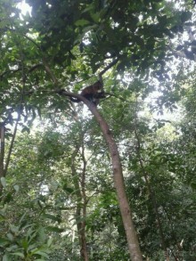 Такой непредсказуемый предсказуемый Рио. Безопасность в поездке.