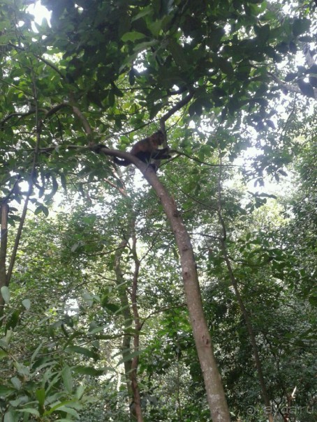 Альбом отзыва "Такой непредсказуемый предсказуемый Рио. Безопасность в поездке."