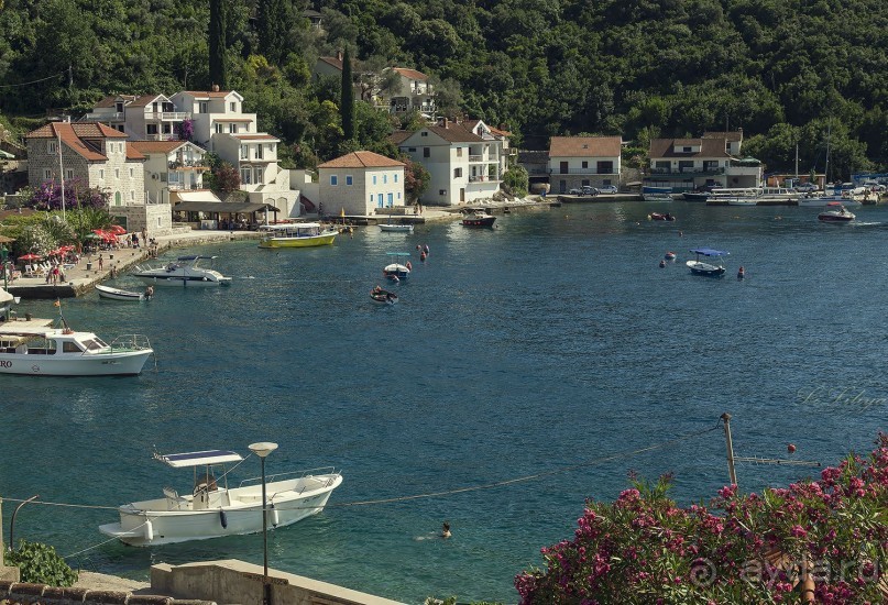 Черногорские наблюдения