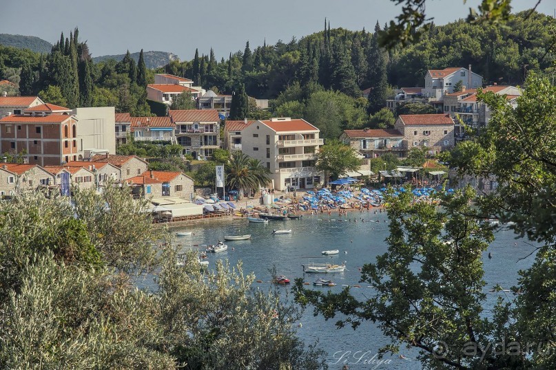 Черногорские наблюдения