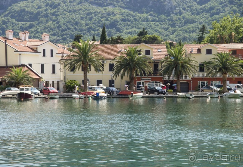 Черногорские наблюдения