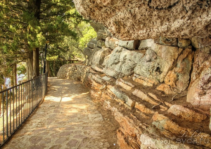 Черногорские наблюдения