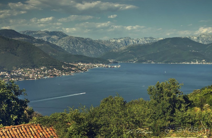 Черногорские наблюдения