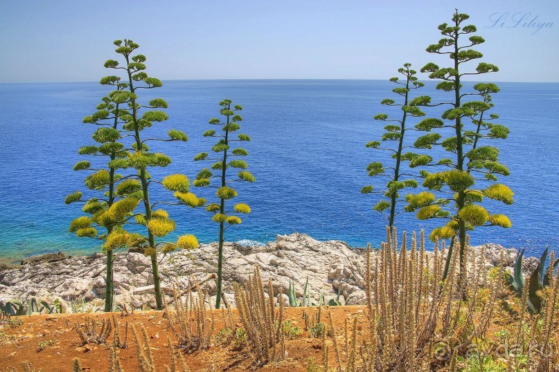 Черногорские наблюдения