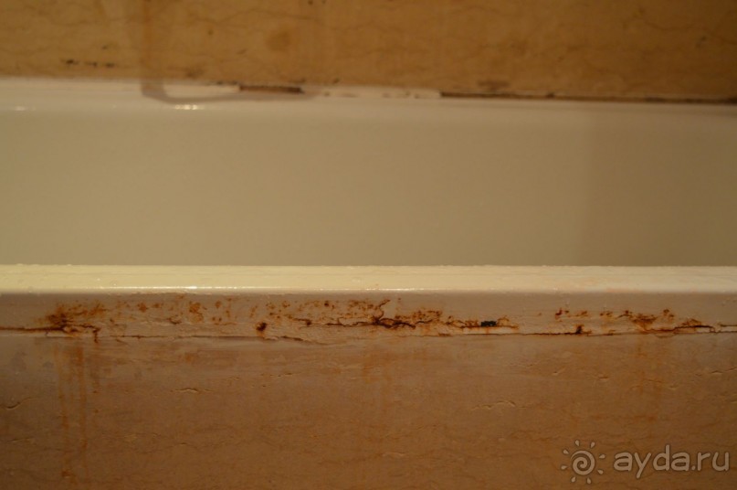 ДОЧИТАЙТЕ ДО КОНЦА!!!