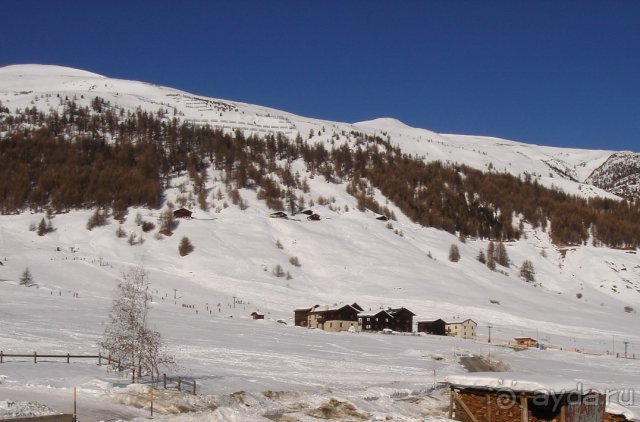 Nuova Villa - вид из окна