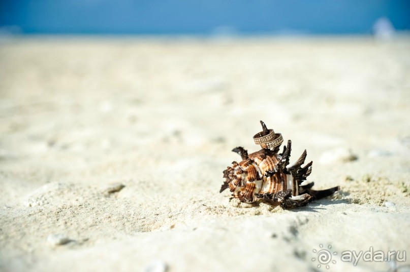 Доминикана Лера и Денис