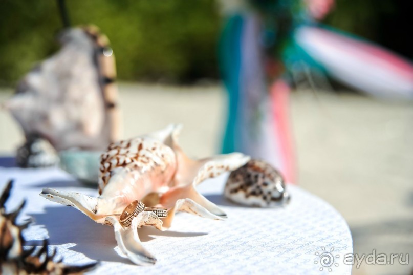 Доминикана Лера и Денис