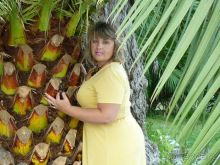 " С точки зрения оптимиста Пизанская башня не падает, а поднимается."