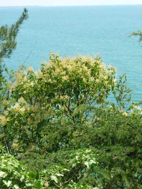 " С точки зрения оптимиста Пизанская башня не падает, а поднимается."