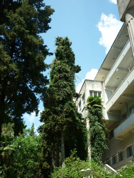 " С точки зрения оптимиста Пизанская башня не падает, а поднимается."