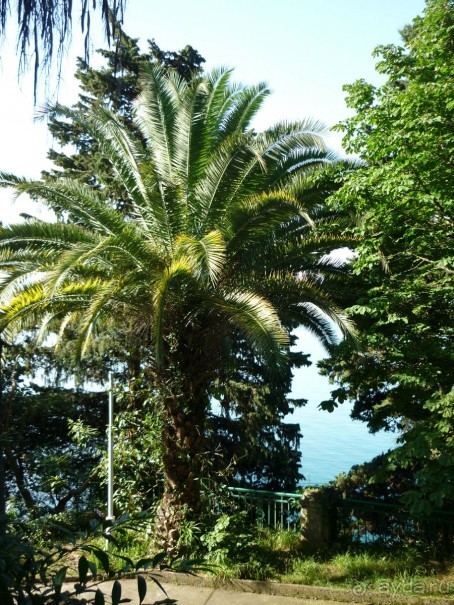 " С точки зрения оптимиста Пизанская башня не падает, а поднимается."