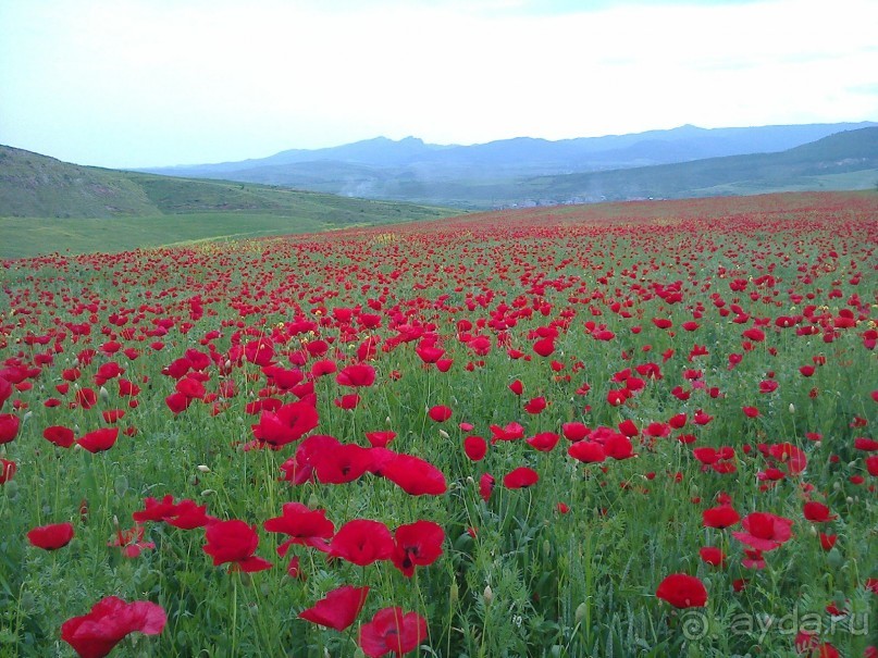 Добро пожаловать в Армению