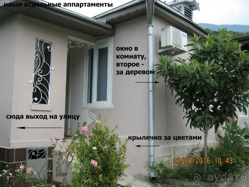 Ничего кроме Гагры!