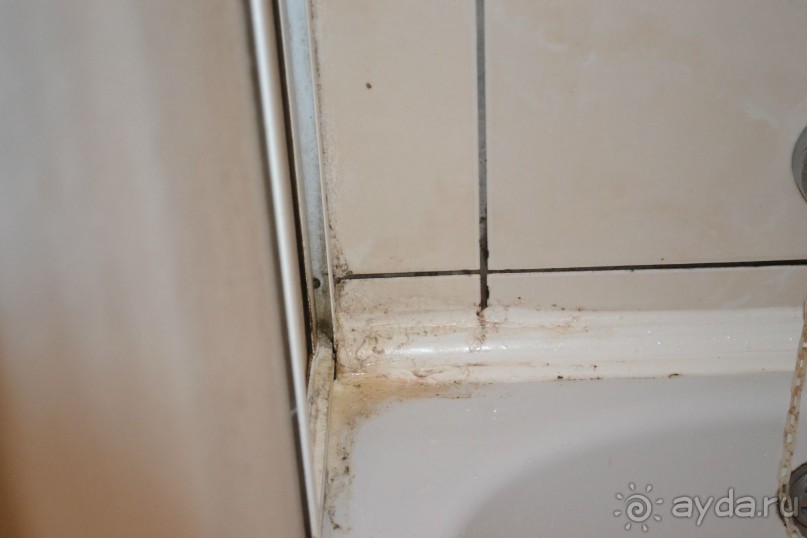 фото Armas Beach Hotel 