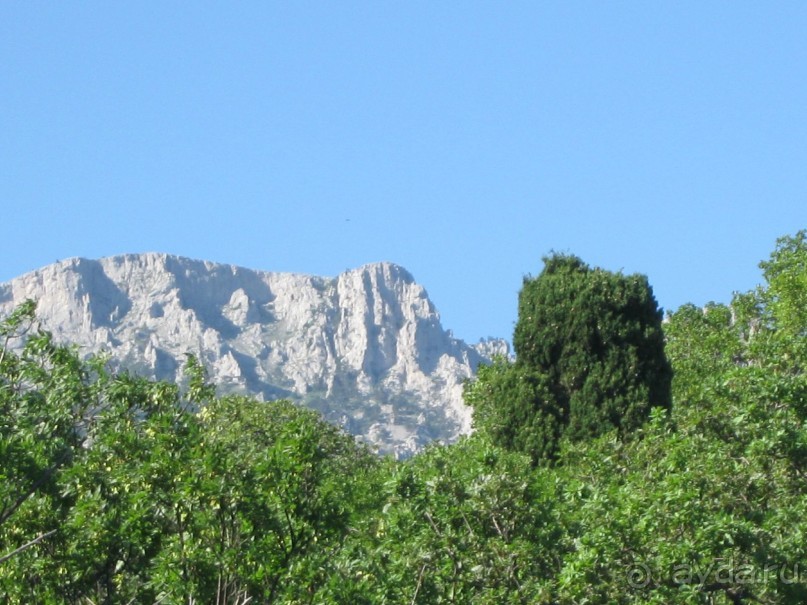 Недовольны Алупкой только те кто пытался сэкономить на отдыхе