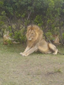 еще молодой