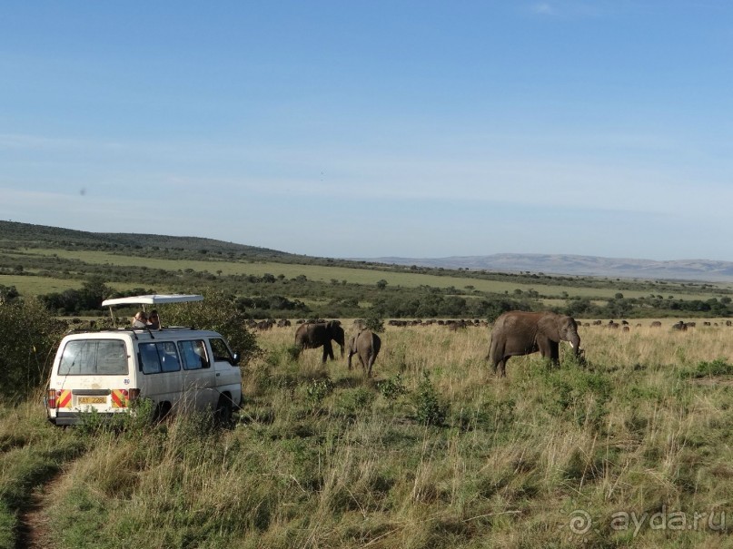 фото Keekorok Game Lodge