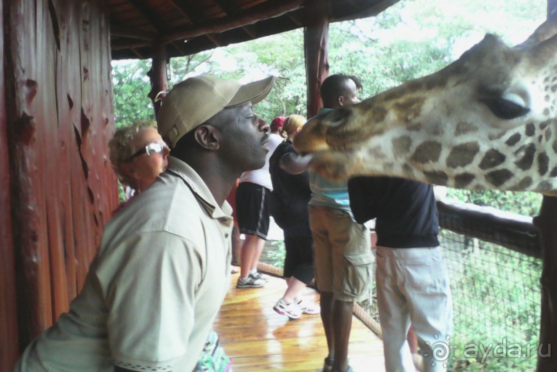 фото Keekorok Game Lodge