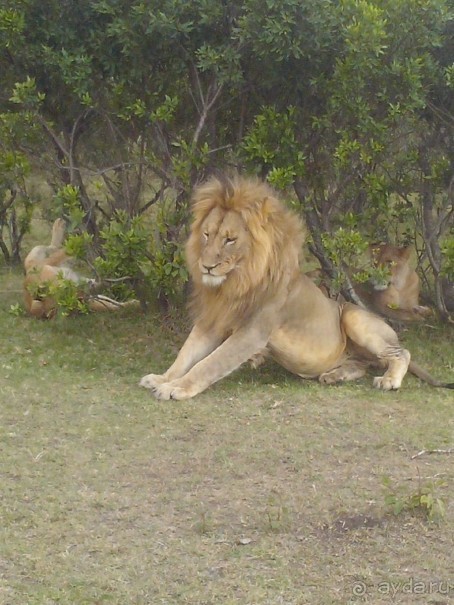 фото Keekorok Game Lodge