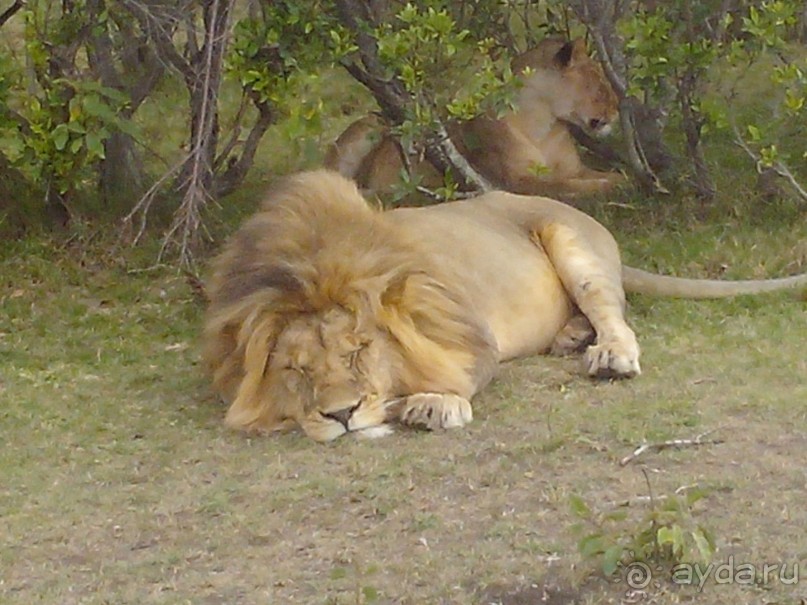 фото Keekorok Game Lodge