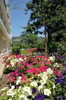 Пансионат "Горизонт"