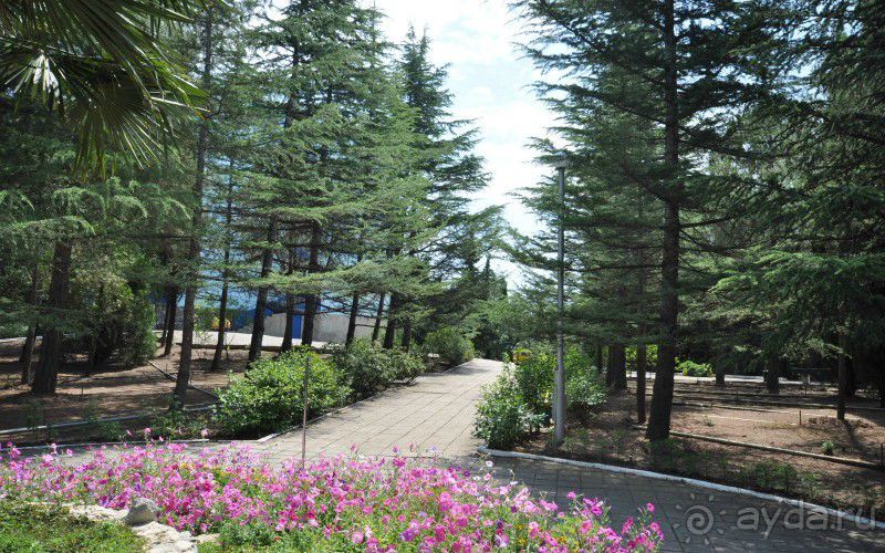 Пансионат "Горизонт"