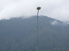 Отдых в Адлере