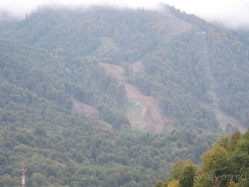 Отдых в Адлере