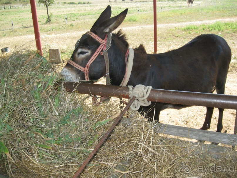 Обязательно посетите с детьми! 
