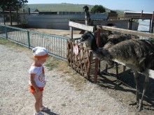 Обязательно посетите с детьми! 