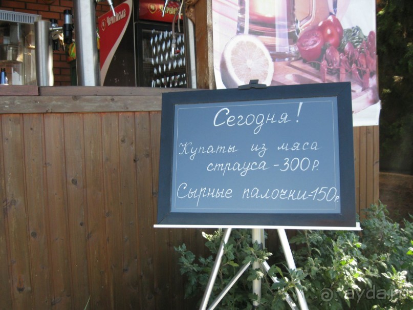 Обязательно посетите с детьми! 