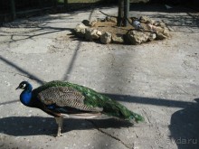 Обязательно посетите с детьми! 